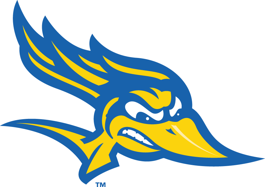 CSU Bakersfield Roadrunners 2006-Pres Alternate Logo v3 diy DTF decal sticker